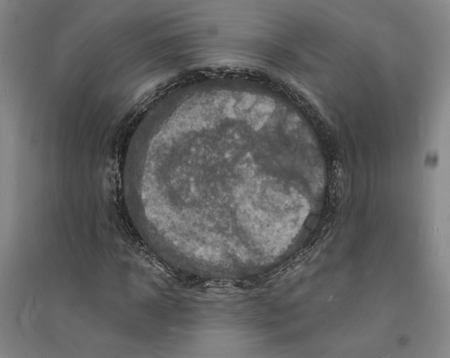 X0000094060918200711091124