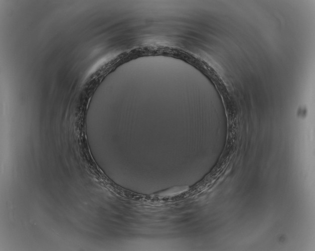 X0000094060919200711091124