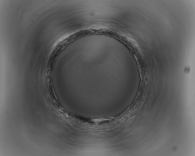 X0000094060920200711091124