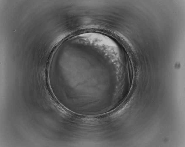 X0000094060921200711091124