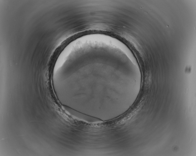 X0000094060923200711091124