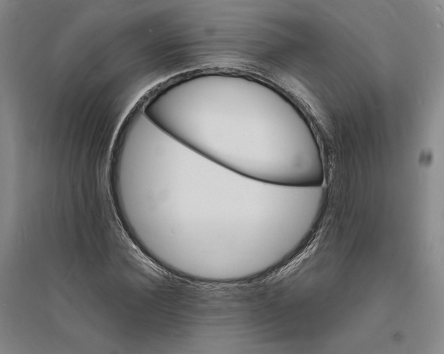 X0000094060924200711091124
