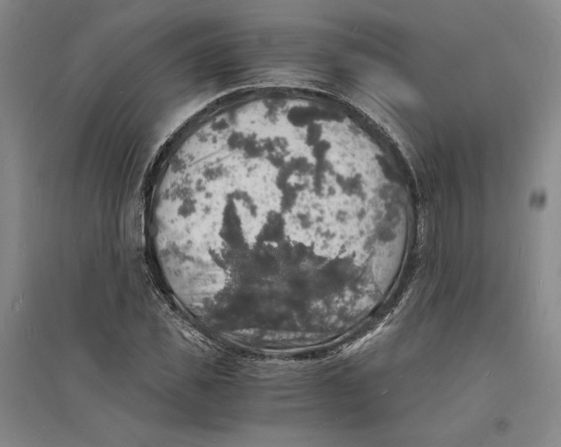X0000094060925200711091124