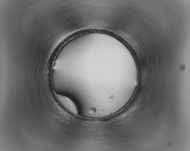 X0000094060926200711091124