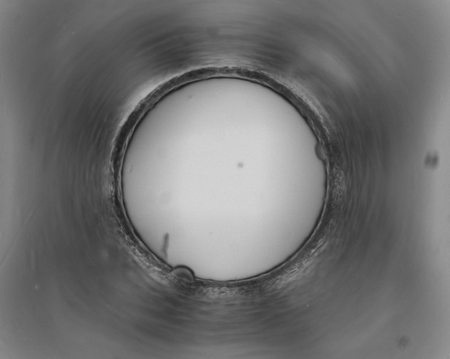 X0000094060927200711091124