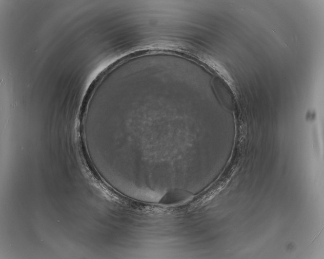X0000094060928200711091124