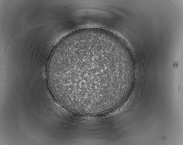 X0000094060929200711091124