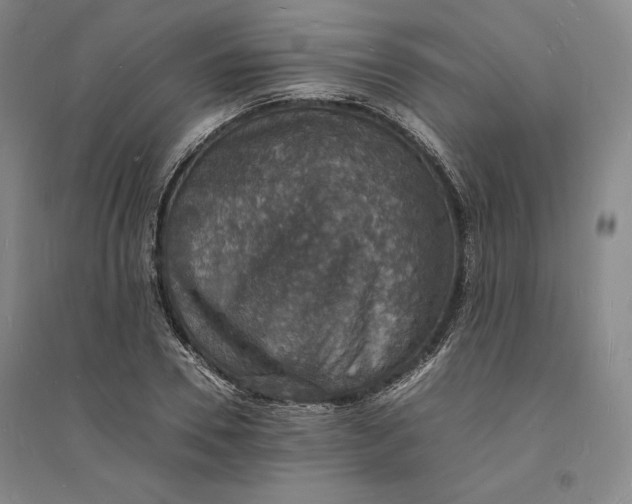 X0000094060930200711091125