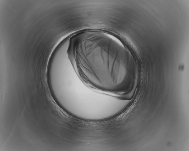 X0000094060932200711091125