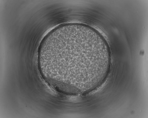 X0000094060933200711091125