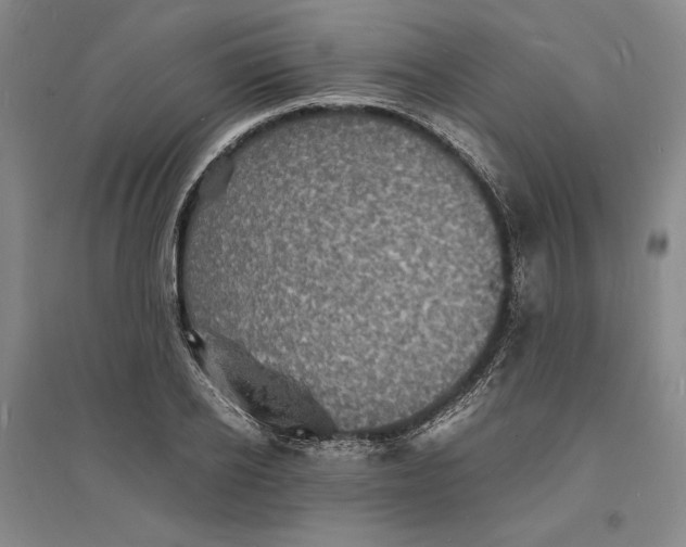 X0000094060934200711091125