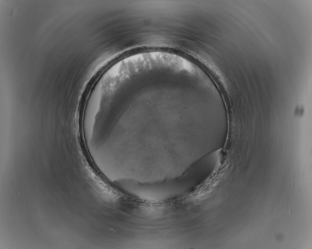 X0000094060935200711091125