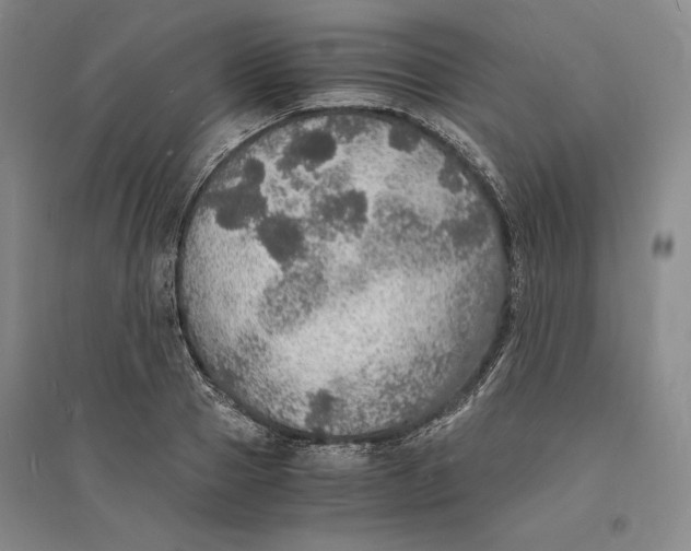 X0000094060937200711091125
