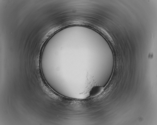 X0000094060938200711091125