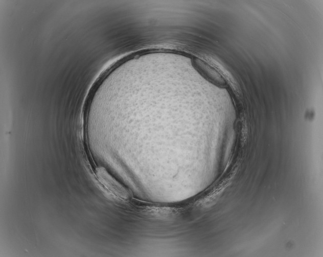 X0000094060940200711091125
