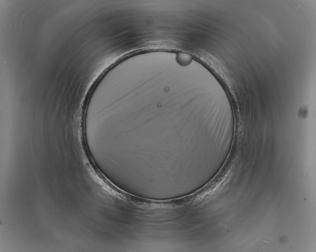 X0000094060941200711091125
