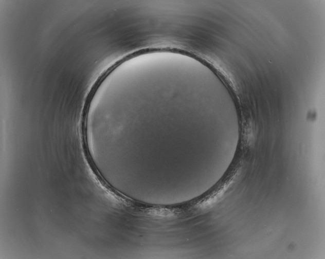 X0000094060943200711091125