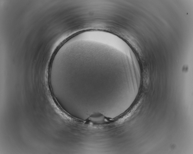 X0000094060944200711091125