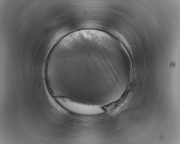 X0000094060946200711091125