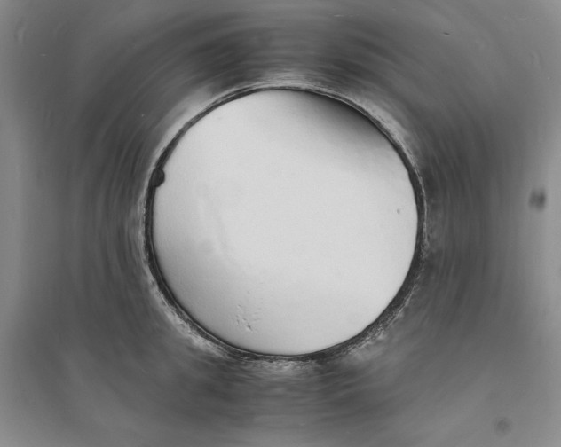 X0000094060949200711091125