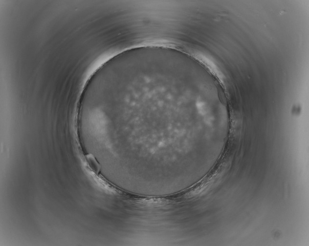 X0000094060952200711091125