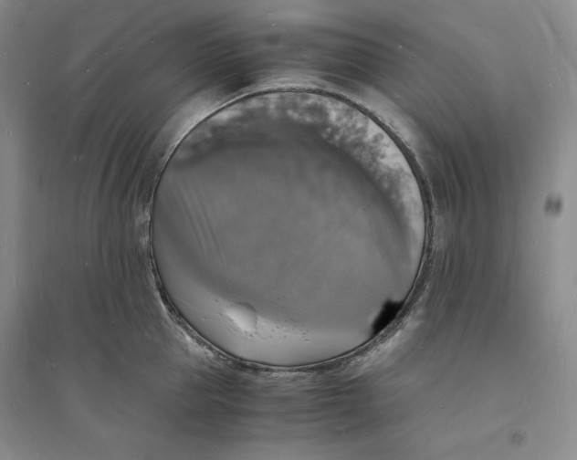X0000094060953200711091125
