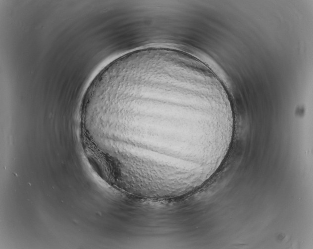 X0000094060955200711091125