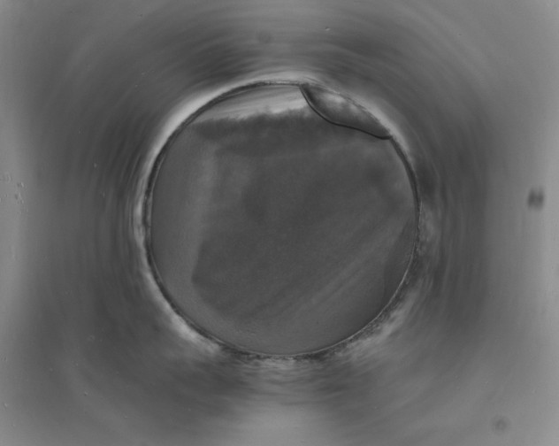 X0000094060959200711091125