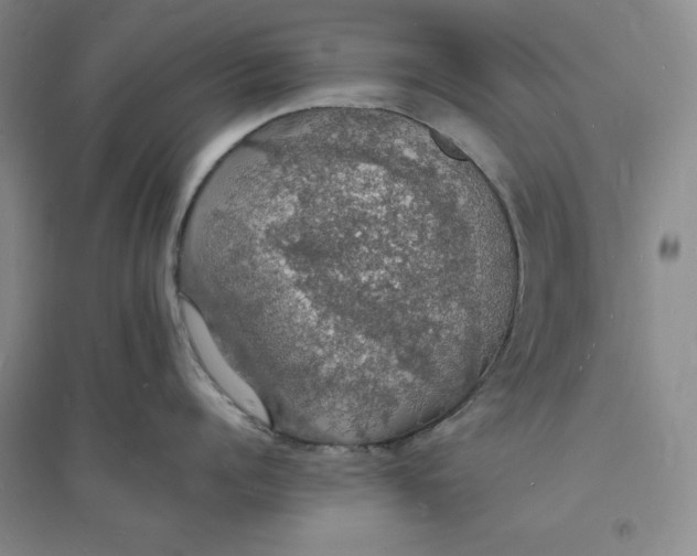 X0000094060960200711091125