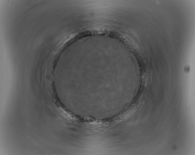 X0000094060961200711091124