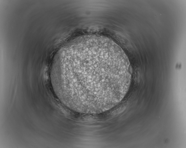 X0000094060962200711091124