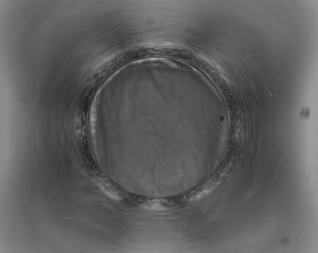 X0000094060966200711091124