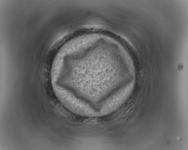 X0000094060967200711091124