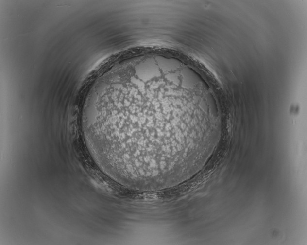 X0000094060968200711091124
