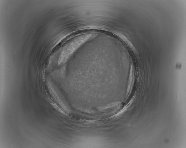 X0000094060969200711091124