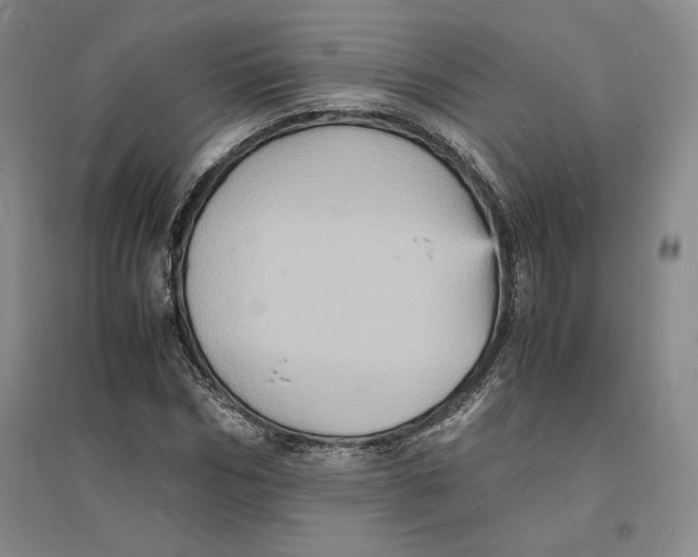 X0000094060970200711091124