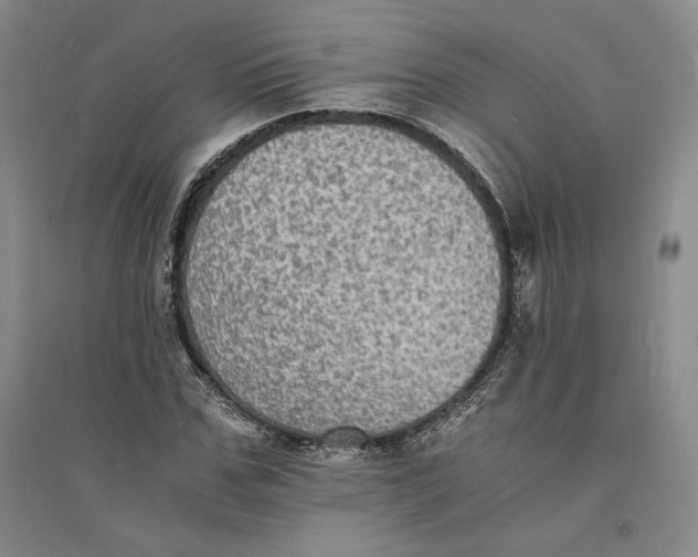 X0000094060971200711091124