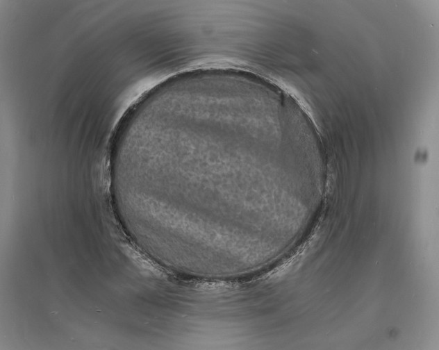 X0000094060973200711091124
