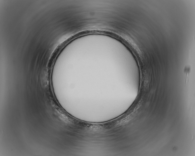 X0000094060974200711091124
