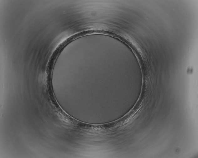 X0000094060975200711091124