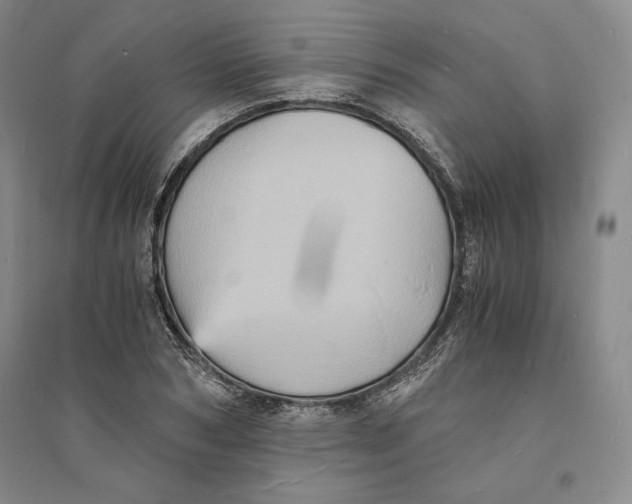 X0000094060978200711091124