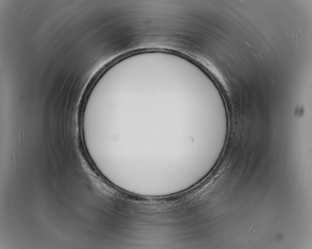 X0000094060980200711091124
