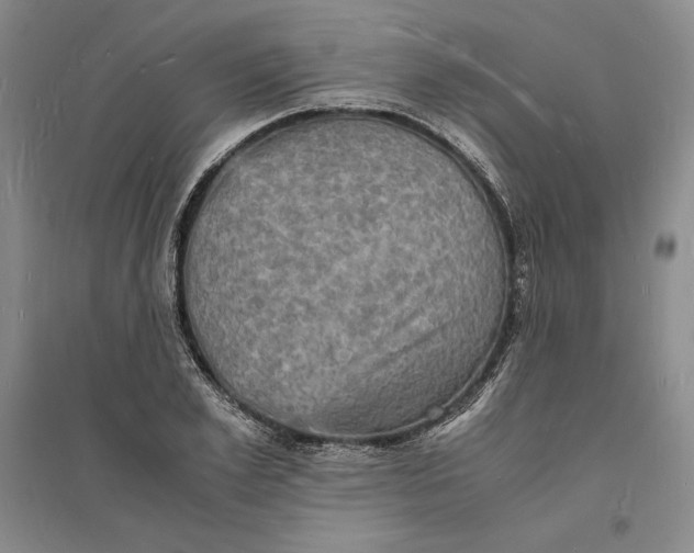 X0000094060981200711091124
