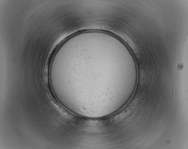 X0000094060982200711091124