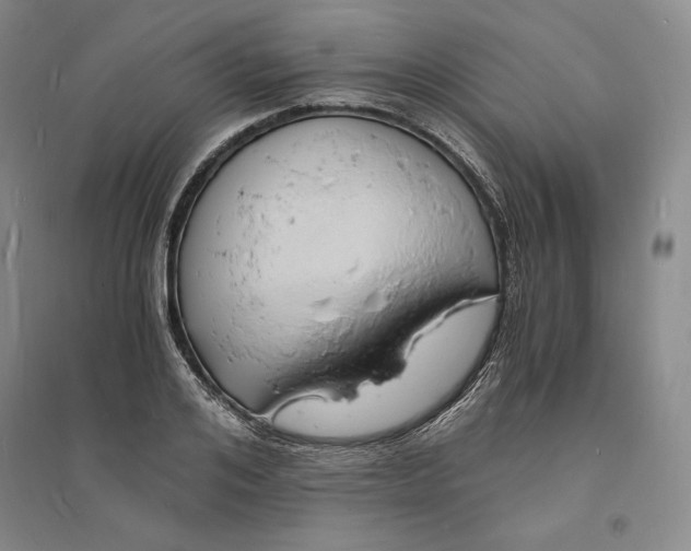 X0000094060984200711091124
