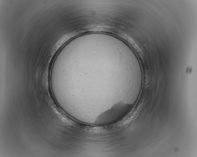 X0000094060986200711091124