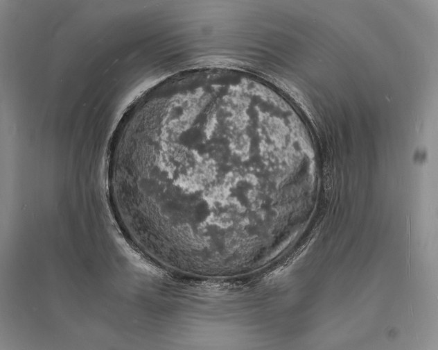 X0000094060987200711091124