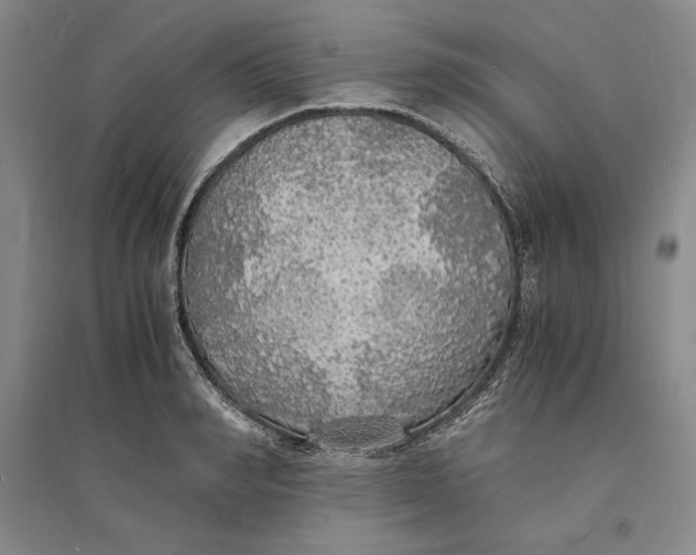 X0000094060990200711091124