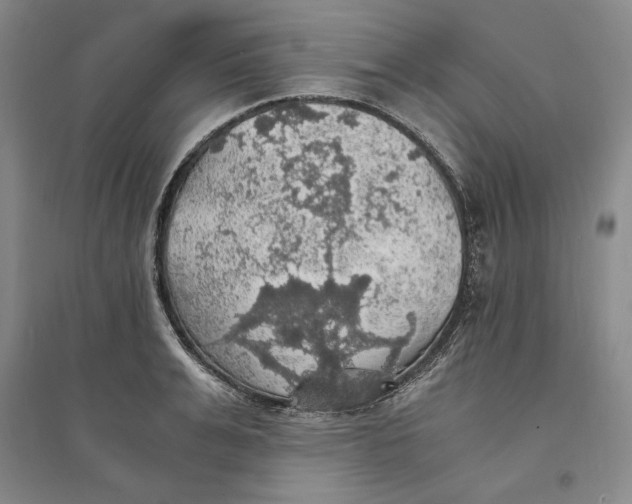 X0000094060991200711091124