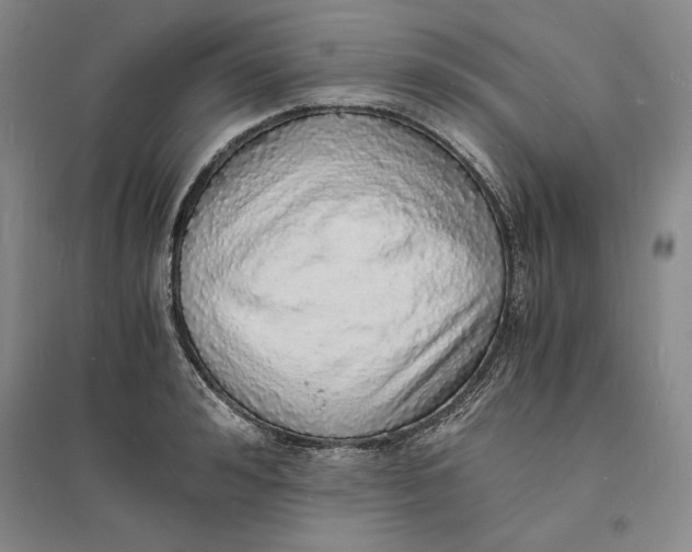 X0000094060992200711091124